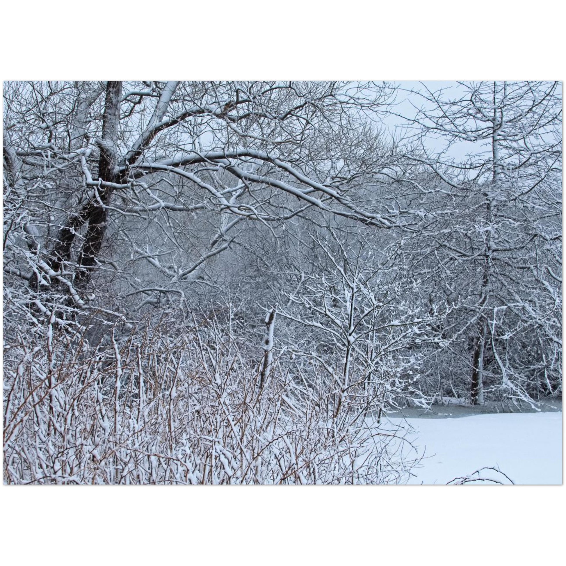 3c2aeff9-49f9-465d-8bc2-049f771d846f