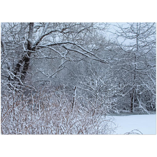3c2aeff9-49f9-465d-8bc2-049f771d846f