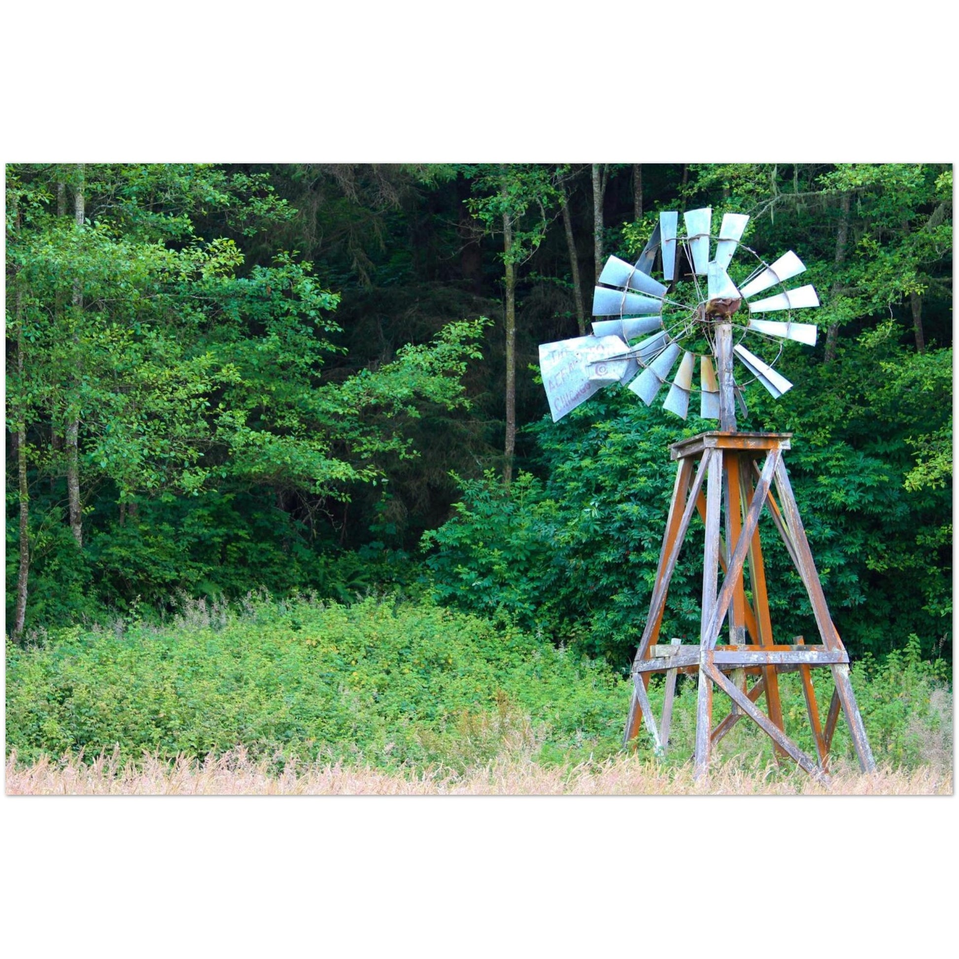 da54b5d0-0d10-4ff8-97cd-3983c16899a6